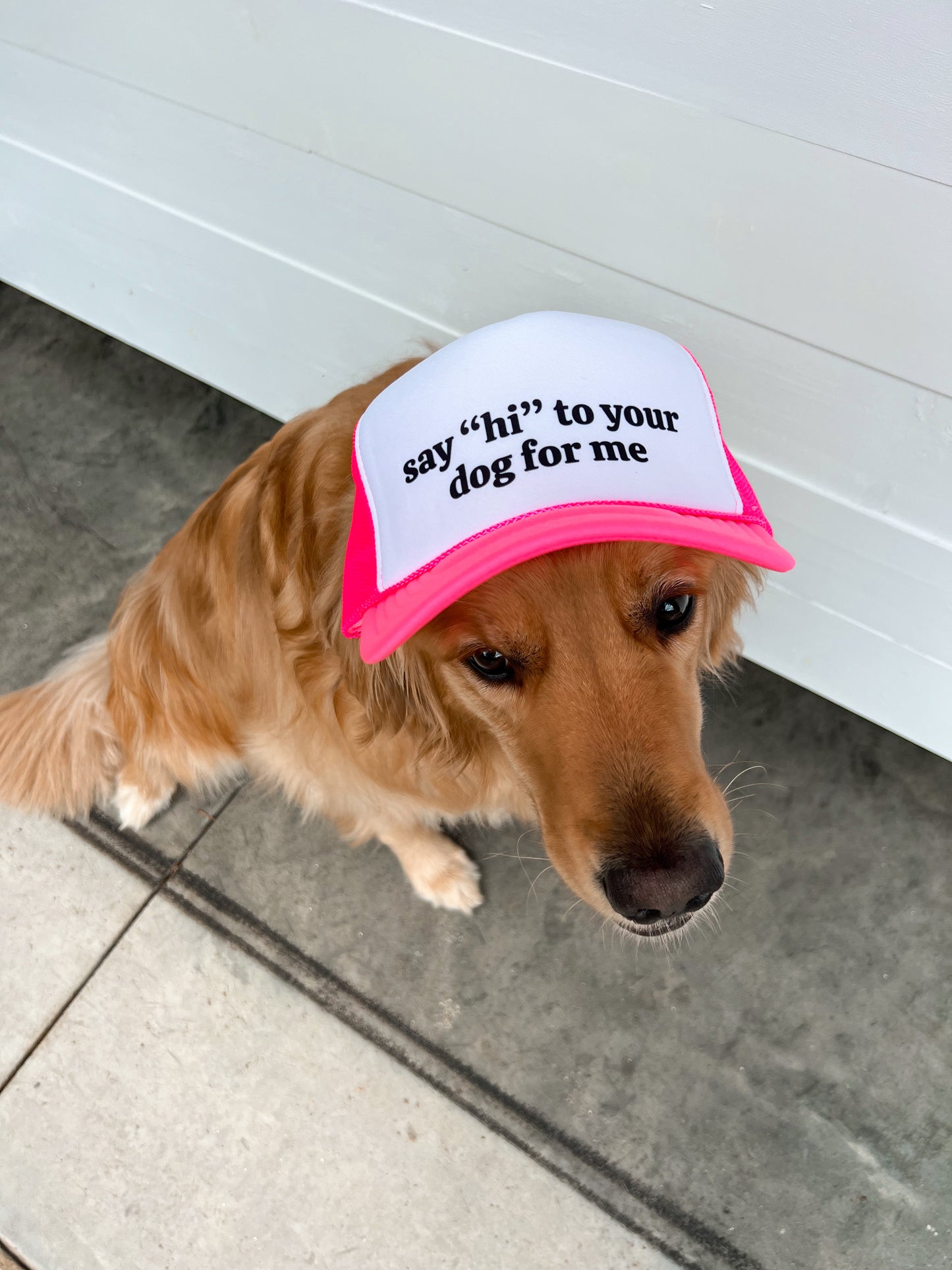 Say "Hi" To Your Dog For Me Trucker Hat - Hot Pink