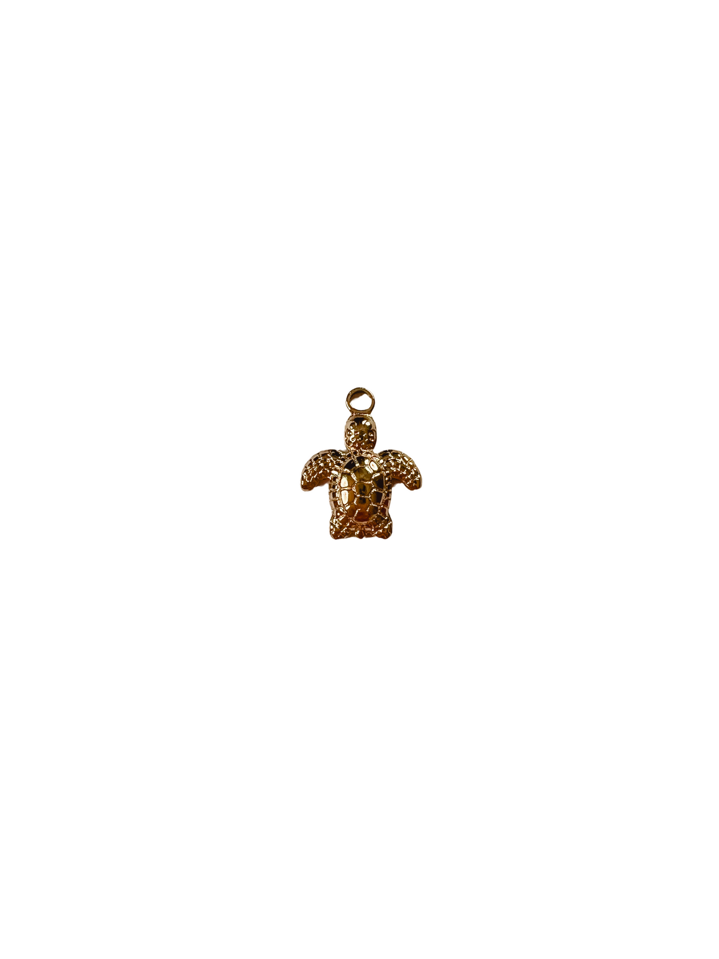 Turtle Charm