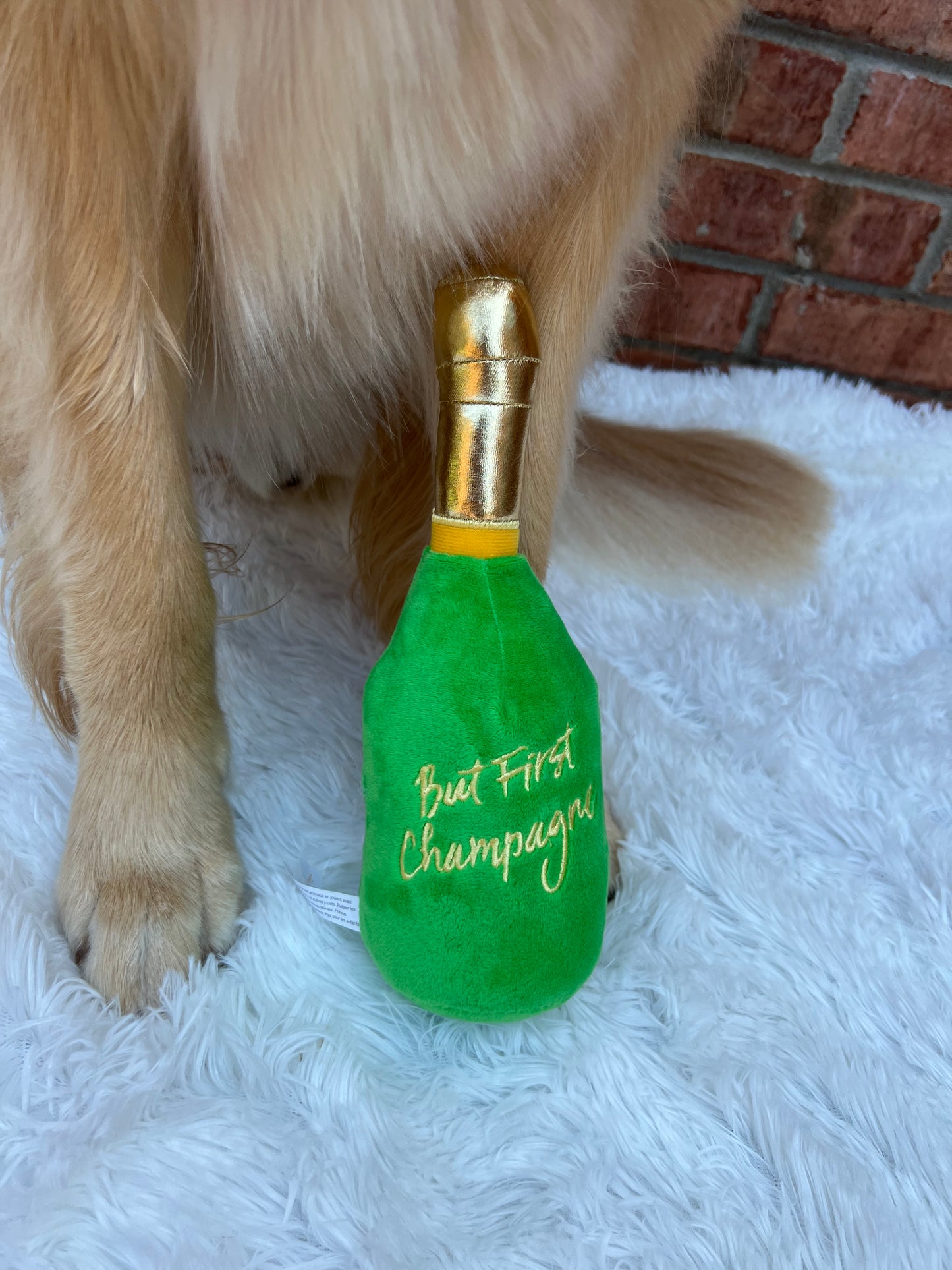 Woof Clicquot Squeaker Toy