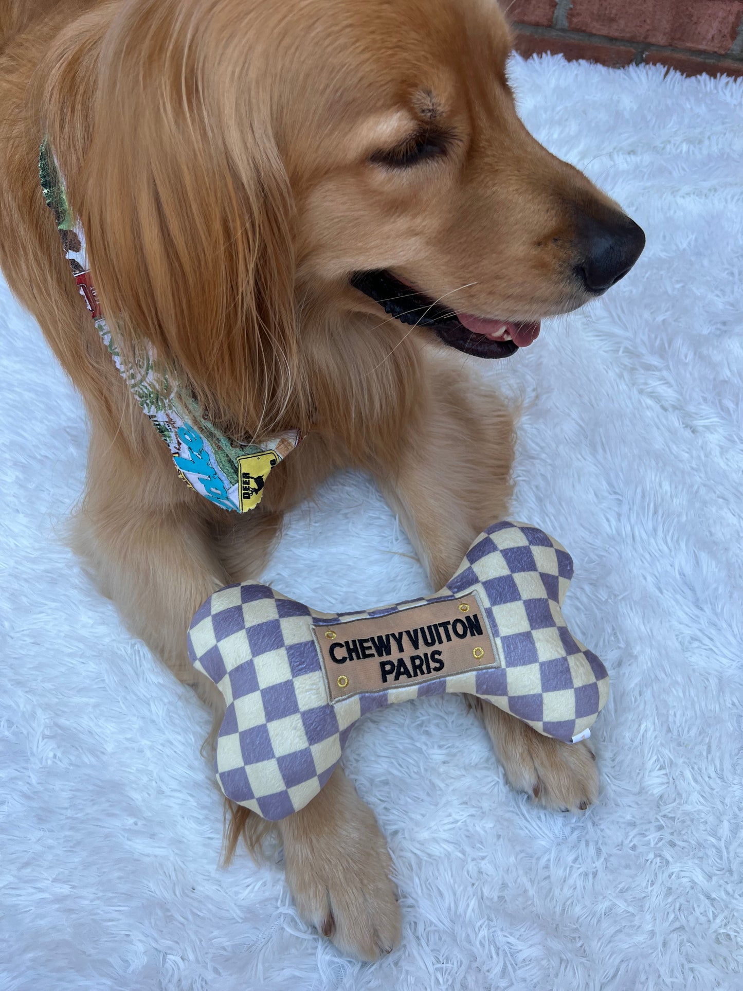 Chewy Vuiton Squeaker Toy