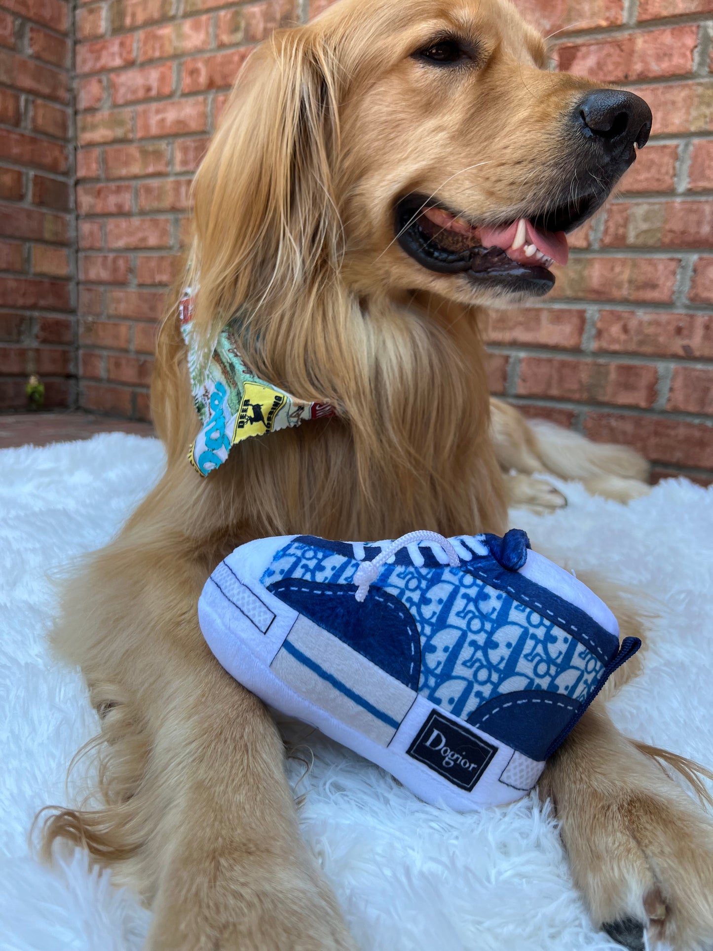 Dogior Sneaker Toy