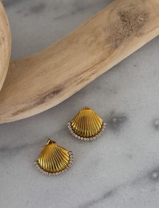 Shell Earrings