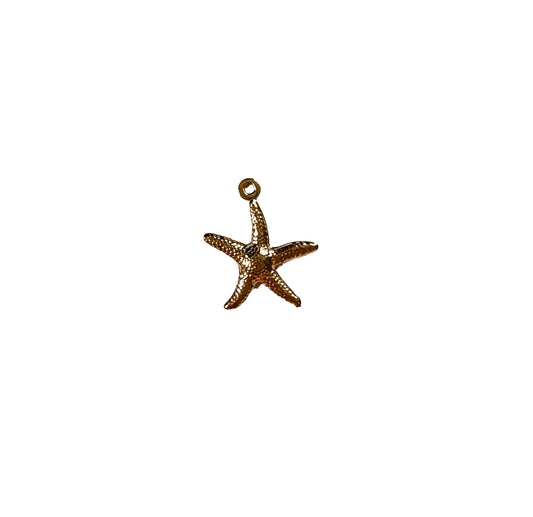 Starfish Charm