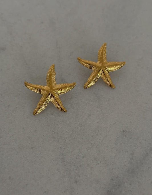 Starfish Earrings
